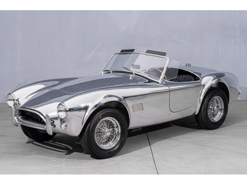 1965年製silver toneシルバートーン1448Amp in Case BRAND NEW CSX8000 Polished Aluminum Cobra!